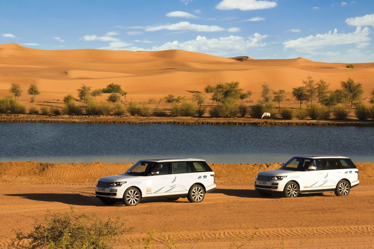 Dubai Desert Conservation Reserve Tour with Breakfast - Photo 1 of 5